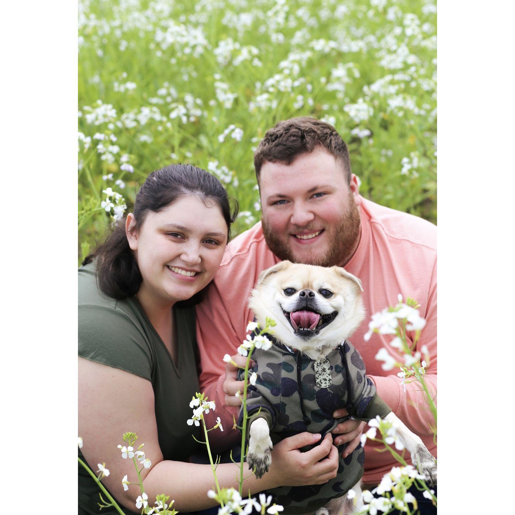 We were dog parents to Kingston. He sadly passed away in March 2023. We love you forever little buddy!