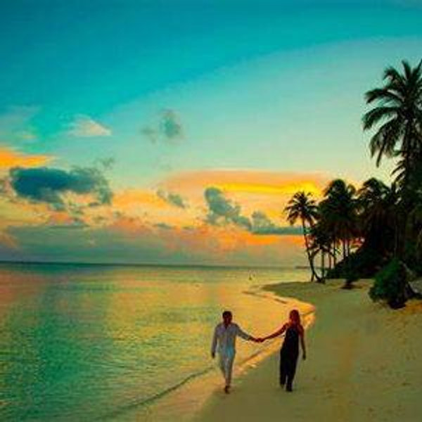 Honeymoon Fund