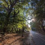 Somerville Community Path