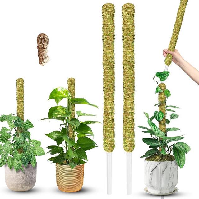 DUSPRO 2Pack 38'' Natural Stackable Moss Pole for Plants Monstera, Forest Moss Sticks, Monstera Plant Support, Handmade Plant Stakes for Indoor Plants for Potted Plant to Grow Upward