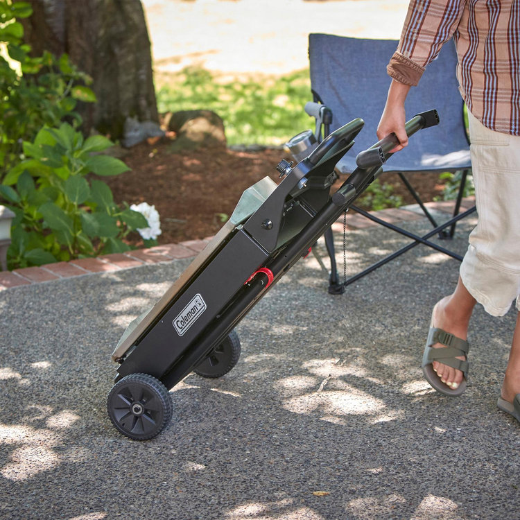 Coleman, RoadTrip Griddle | Zola