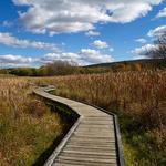 Stairway To Heaven Trail