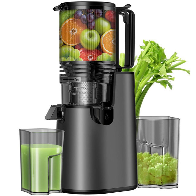 Cold Press Juicer Professional Slow Masticating Juicer for Whole Vegetables & Fruits with High Juice Yield Black