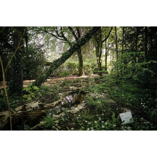 Devon Howells and Jack Watts' Wedding Website