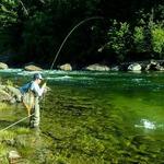 Fly Fishing at Kelly Creek