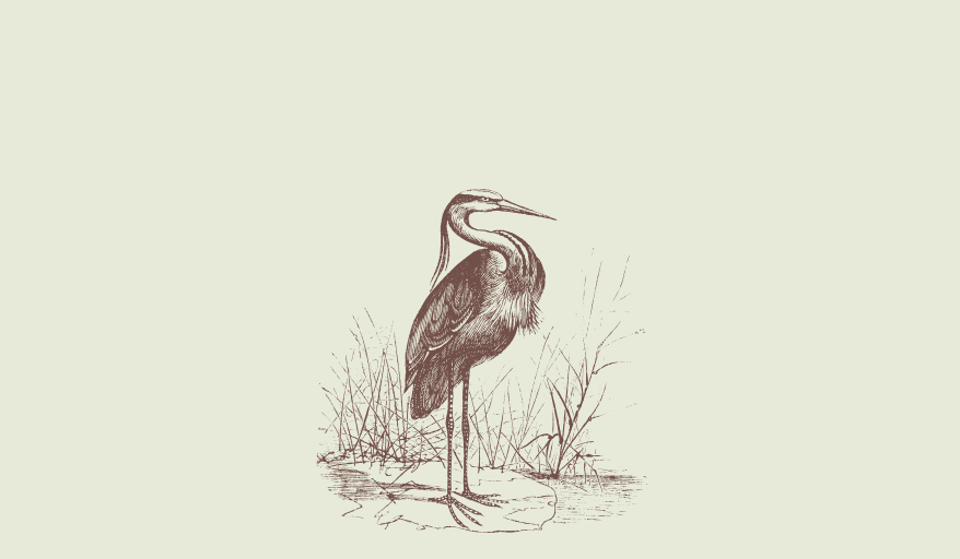 Footer image