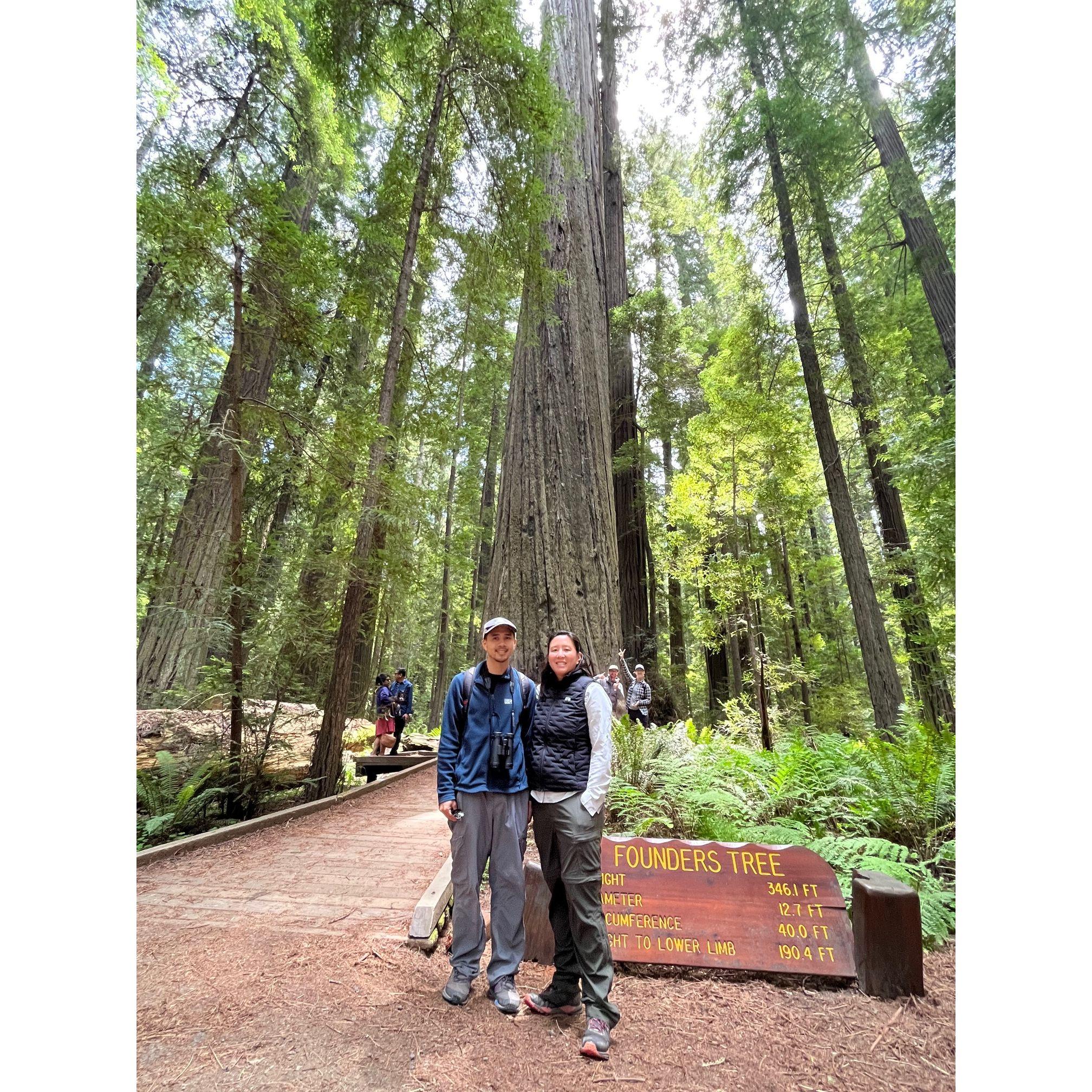 Mike and Jeanette (and Alex and Sonya) in the redwoods