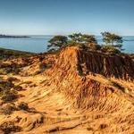 Torrey Pines State Reserve