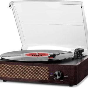 Vinyl player