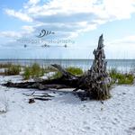 Lovers Key State Park