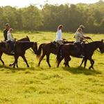 Horseback Riding