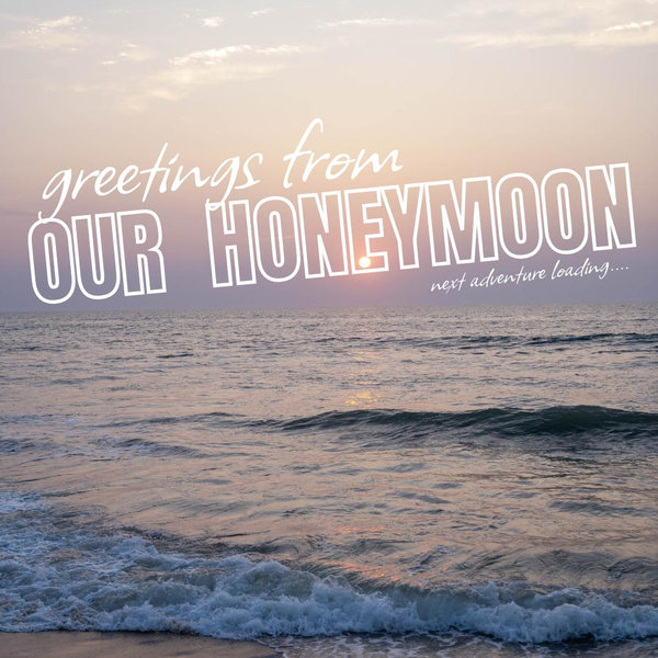 Honeymoon Fund! 🍯🌙