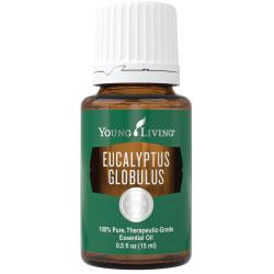 Eucalyptus Globulus Essential Oil