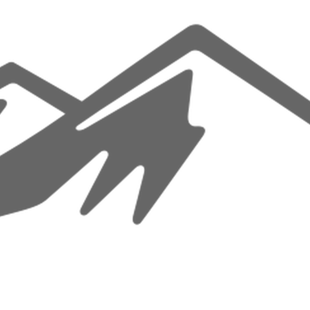 Traeger Pro 575 Pellet Grill - Black