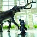 Sam Noble Oklahoma Museum of Natural History