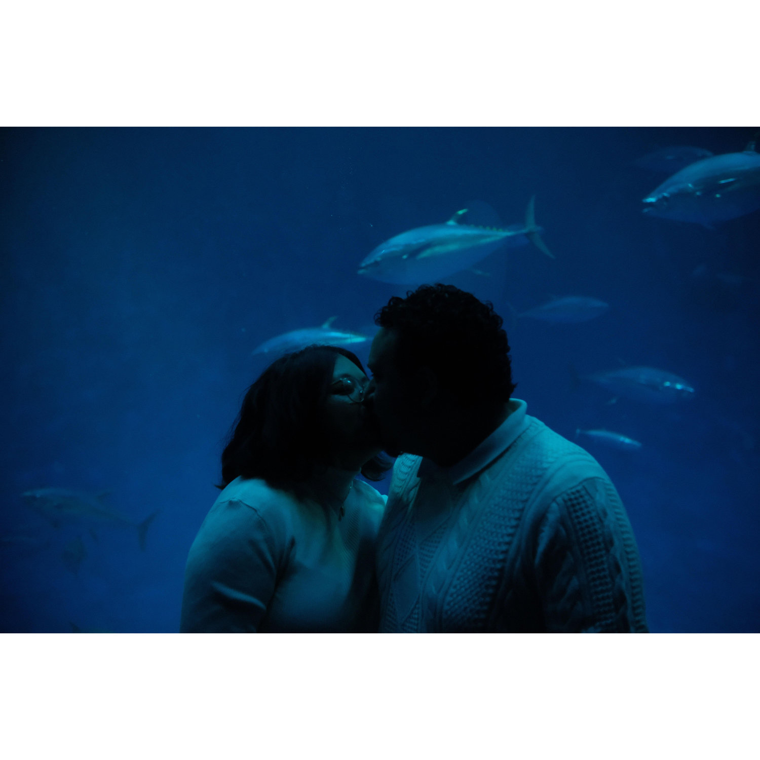 Engagement Photos
