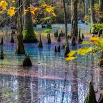 First Landing State Park