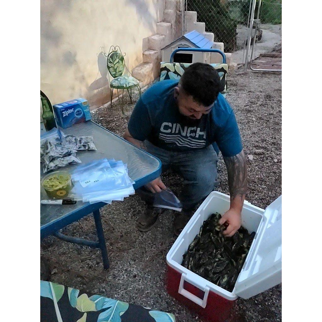 Roasting green chile! Kathryn became a true New Mexico resident that evening