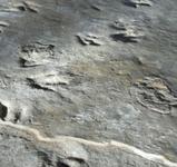 Dinosaur State Park