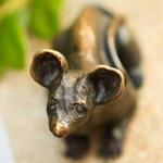 Mice on Main: The Scavenger Hunt