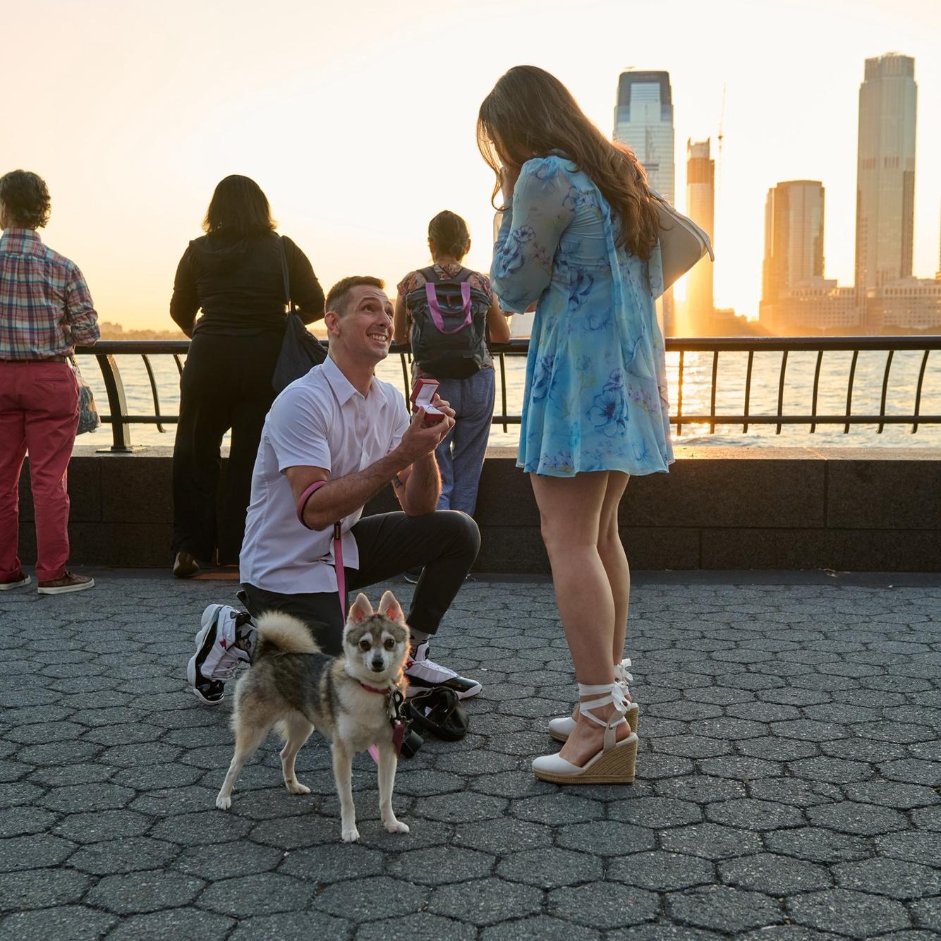 The proposal 8/22/2025