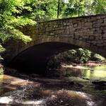 William B. Umstead State Park
