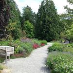 Bellevue Botanical Garden