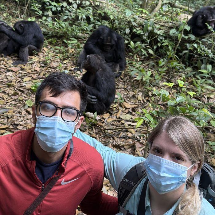 Hanging out with some very curious chimpanzees in Uganda!