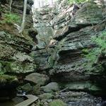 Parfrey's Glen State Natural Area