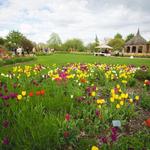Green Bay Botanical Garden