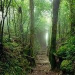Mombacho Volcano National Preserve