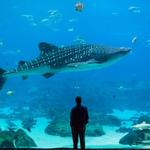 South Carolina Aquarium