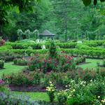 Morris Arboretum & Gardens of the University of Pennsylvania