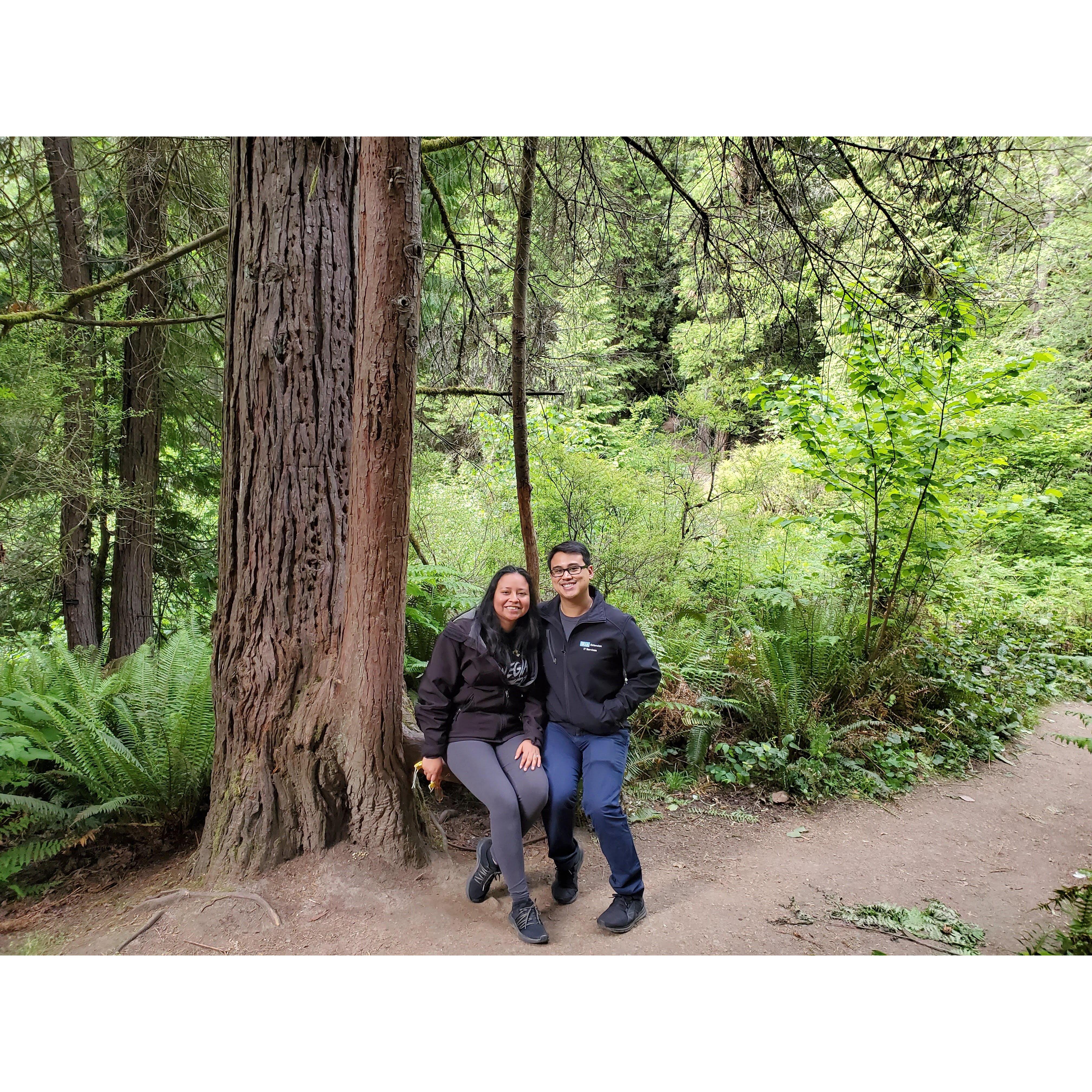 Oregon 2021 Tree Chair
