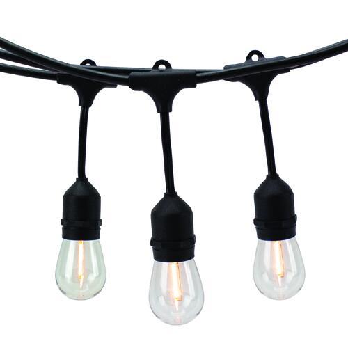 Patriot Lighting® 36' Plug-In 18-Light Warm White LED String Light