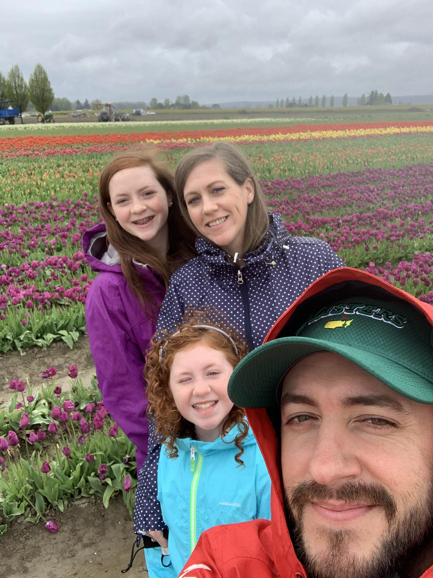 Tulip Town in Washington