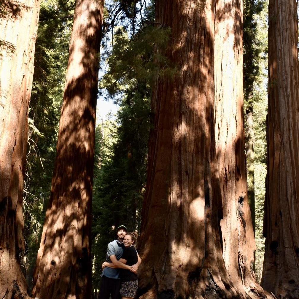Sequoia National Park, August 2020