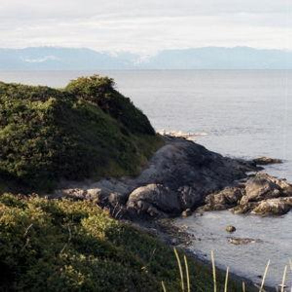 Purchase a Night in Victoria for the Bride and Groom