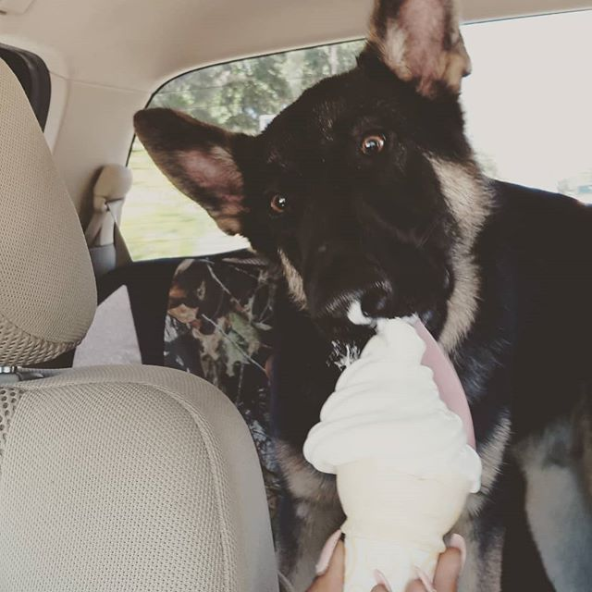 Alphonse's first ice cream cone!