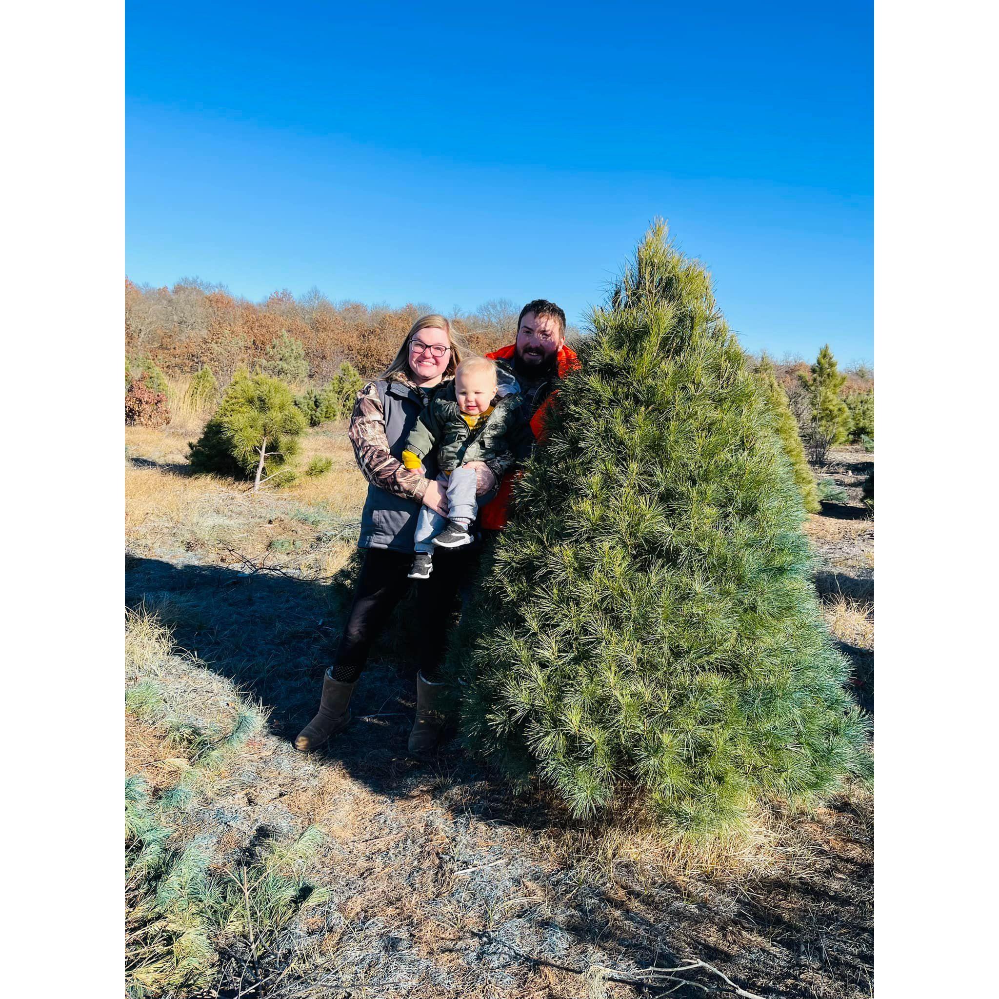 Family tradition- Cutting the Christmas tree down 2021