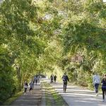 Katy Trail