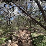 Barton Creek Greenbelt