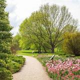 University of Kentucky Arboretum