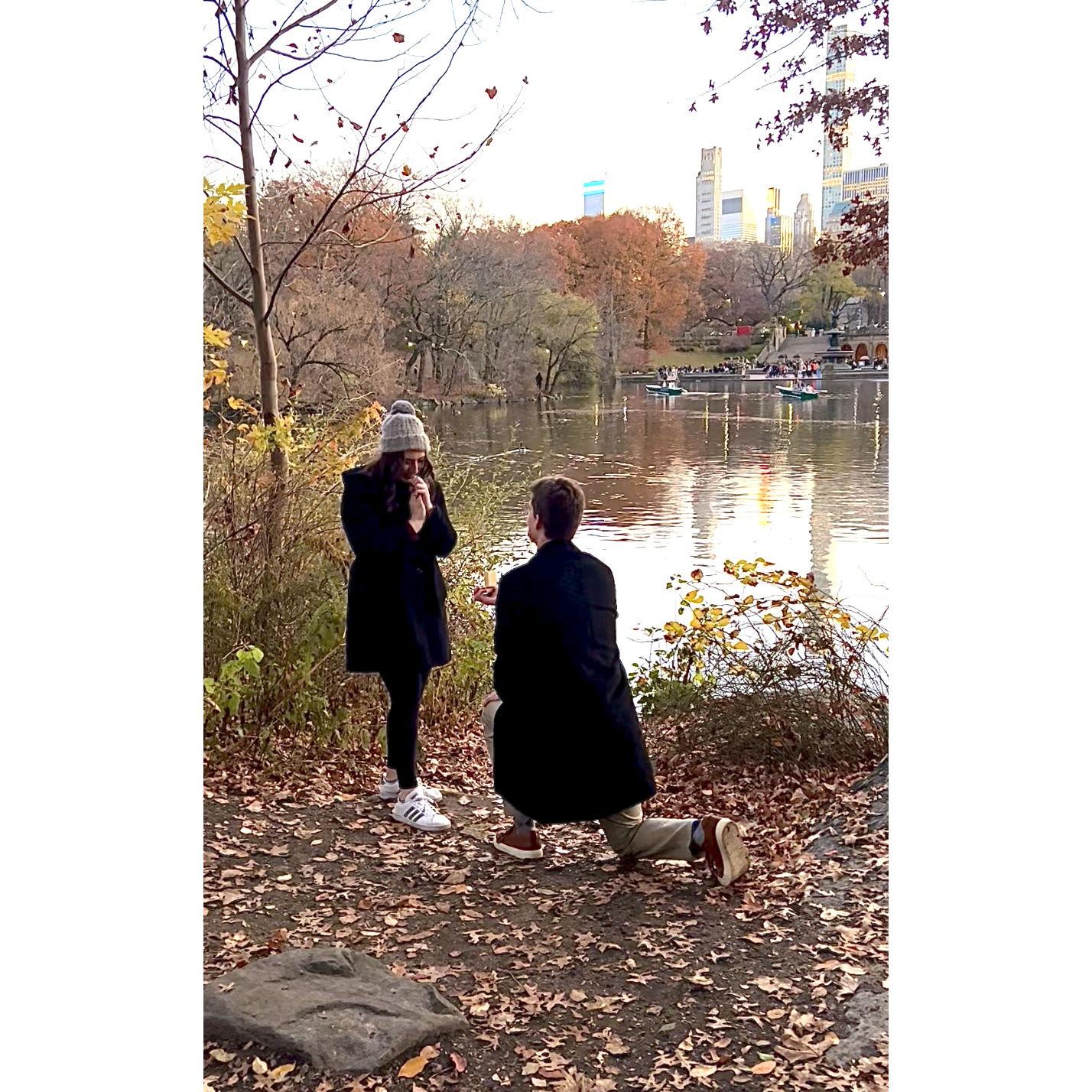 Phil proposing in Central Park on Thanksgiving 2023