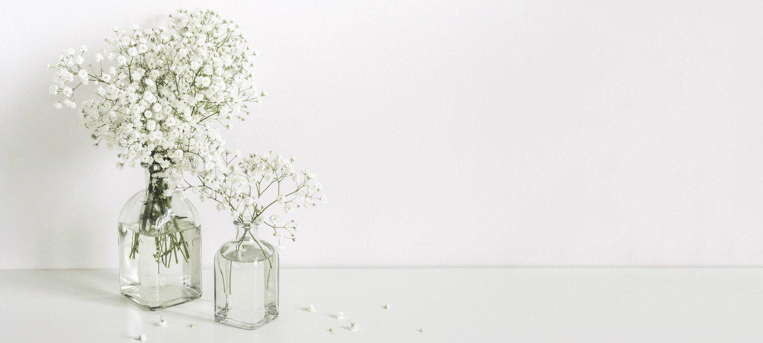 The Wedding Website of Elizabeth Hamann and Eric Ibarra