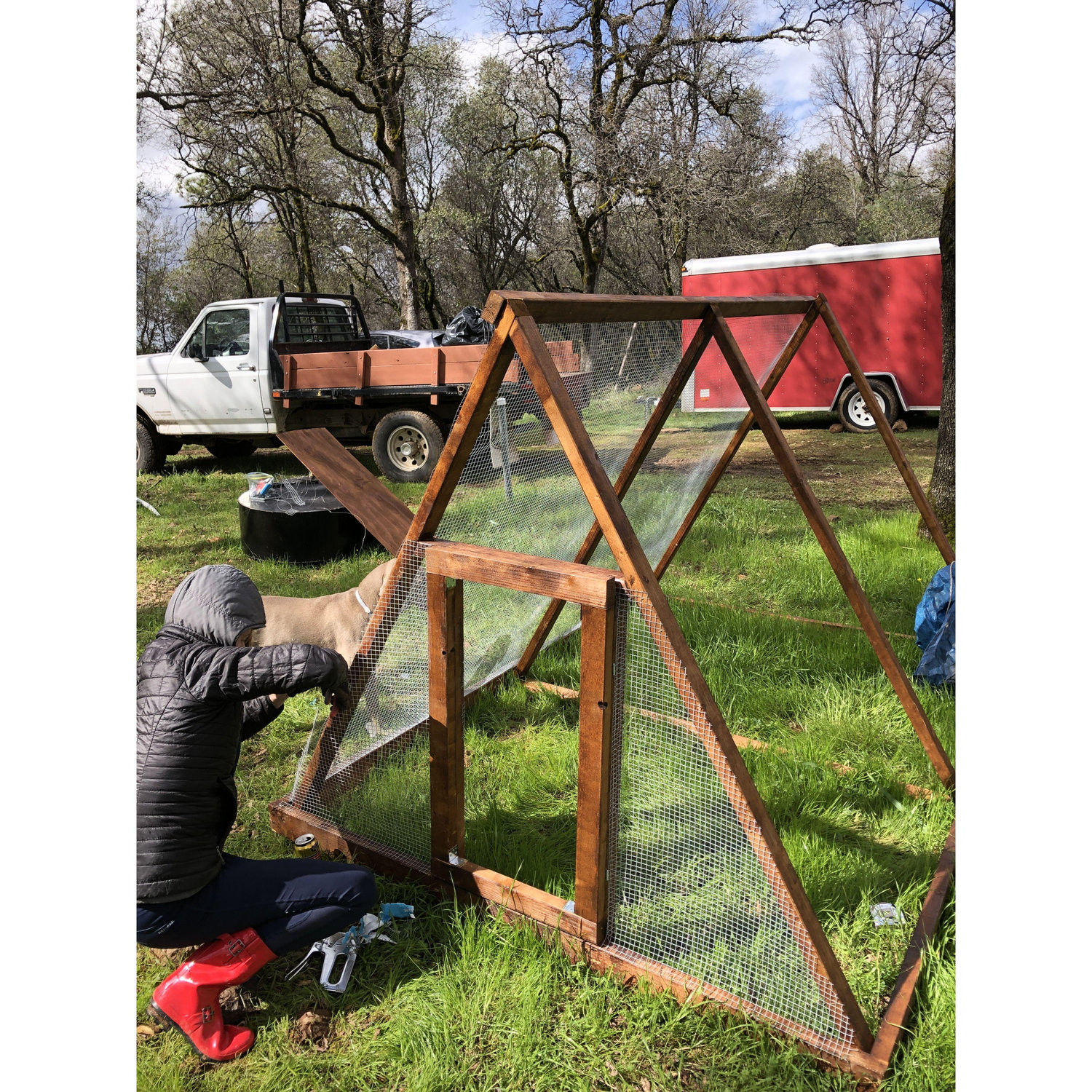 Working on a chicken coop, right after we moved to our property in Grass Valley. 2019