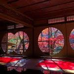 祐斎亭(Arashiyama Yusai-Tei Gallery)