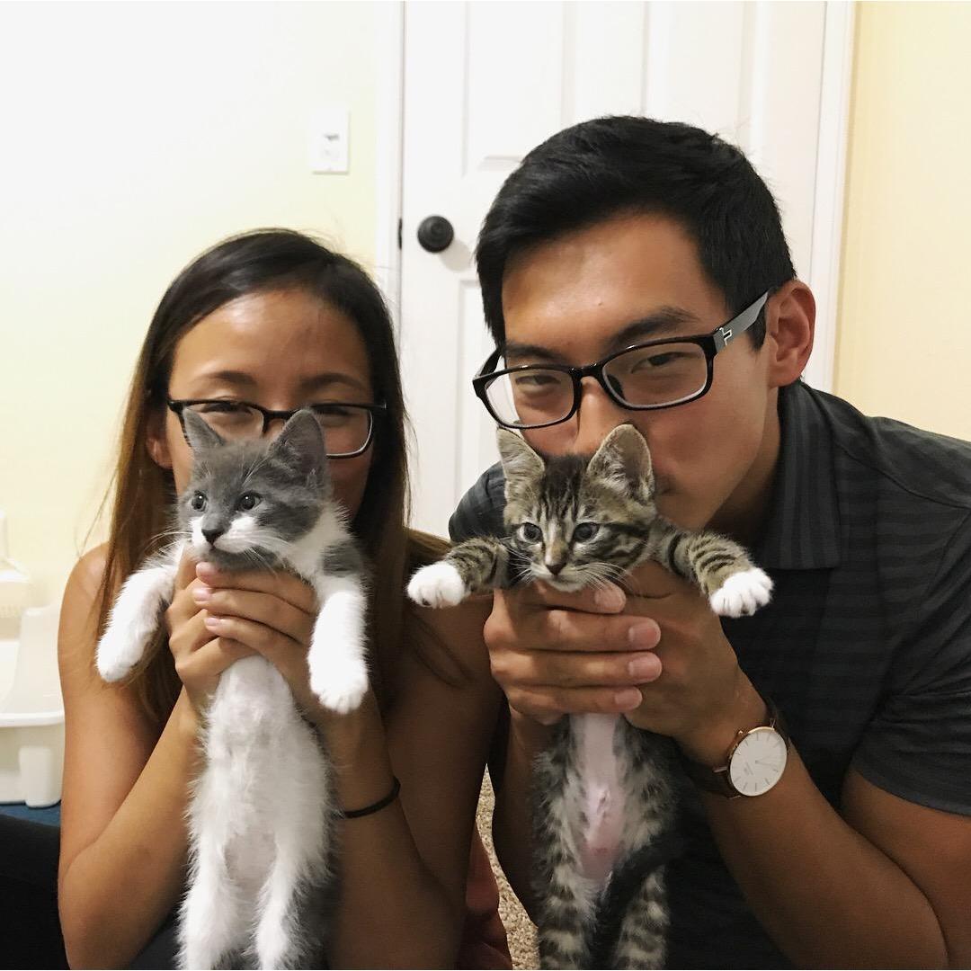 Adopting our furbabies.