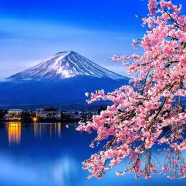 Honeymoon fund to Japan! 🇯🇵