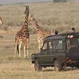 Akagera National Park Entrance